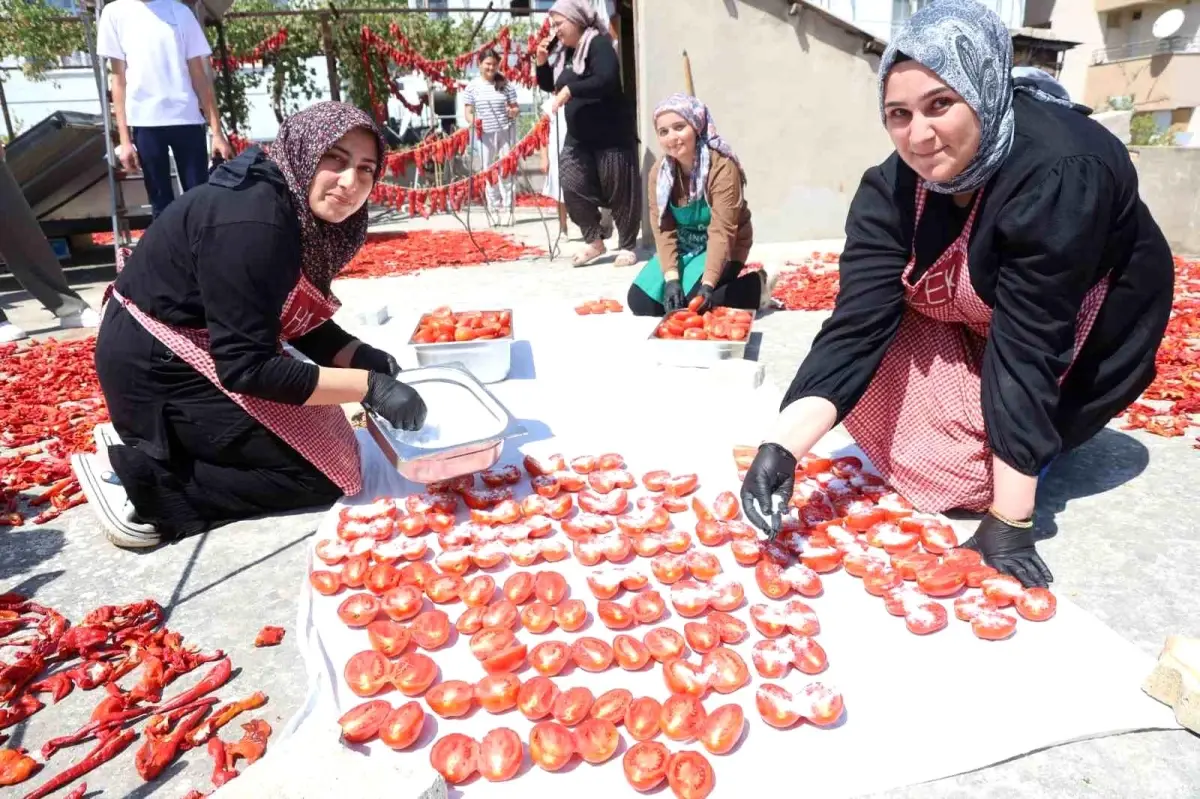 hatayda kadinlarin domates kurusu basarisi LjkkMIIr