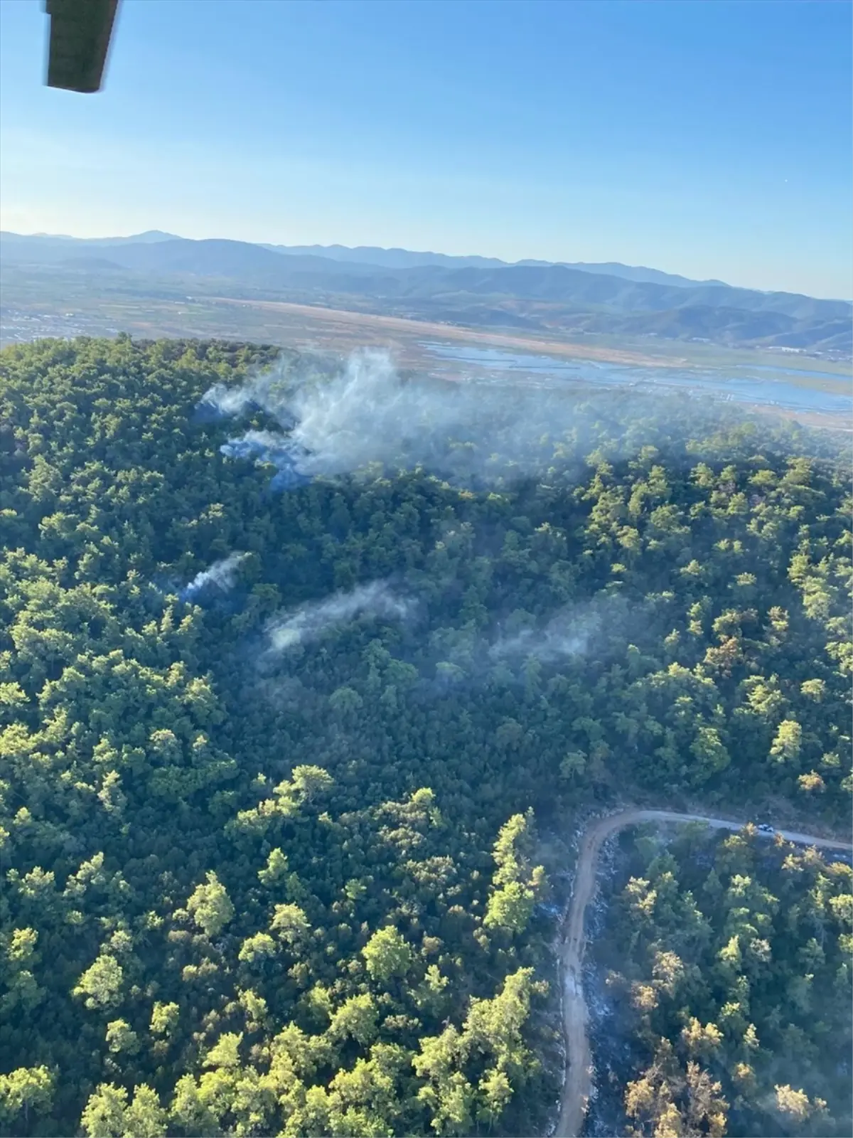 milasta orman yangini suruyor 4PmeyEft