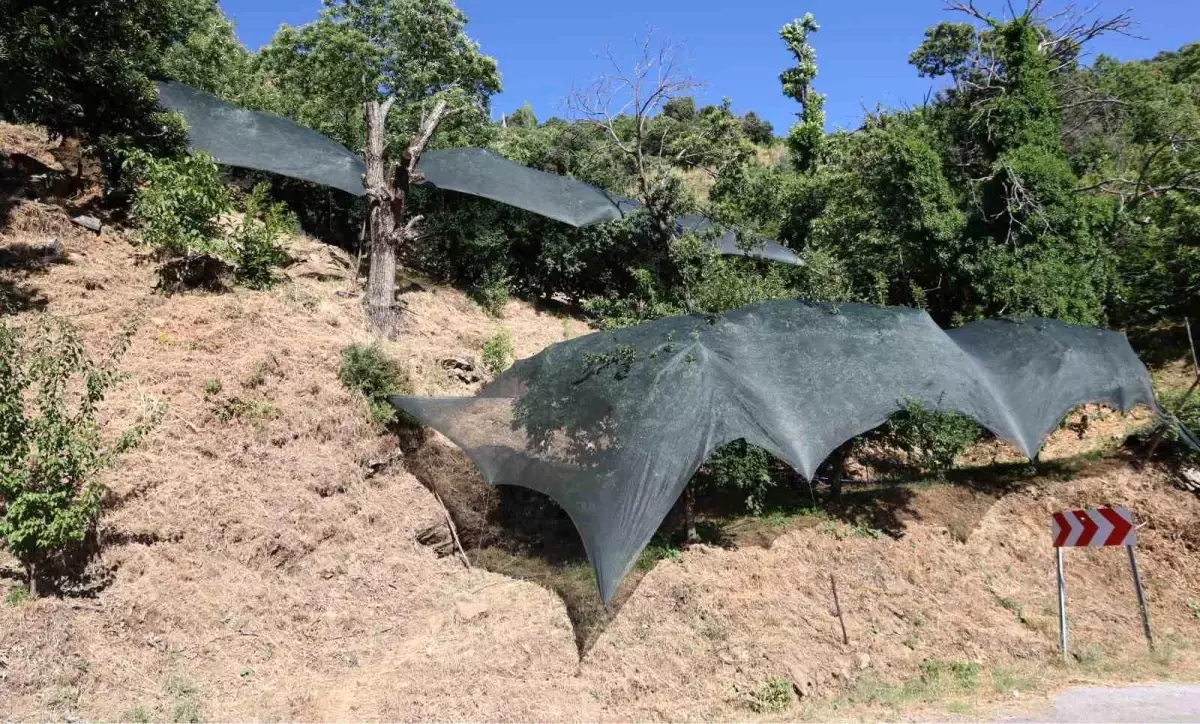 aydinda ureticilere 50 milyon lira destek kmhv5GCb.jpg