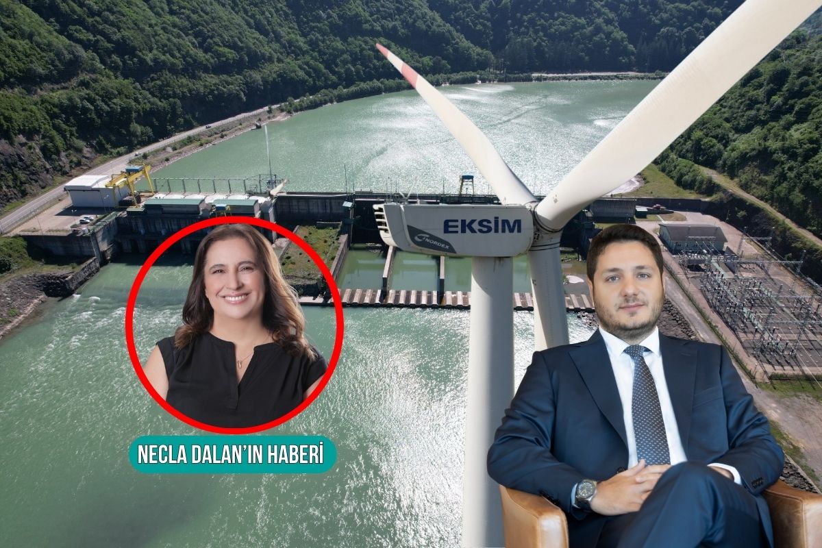 ebubekir tivniklinin yonetim kurulu baskani oldugu eksim gurcistandaki enerji yatirimlarini ruzg r ve gunesi katarak 1 milyar dolara cikaracak JxIeuRyL.jpg