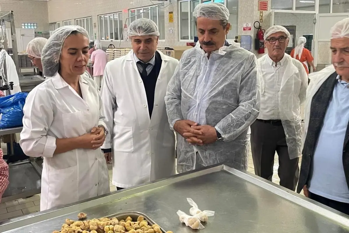 faruk celikten kardelen ziyareti d6MgZlDs