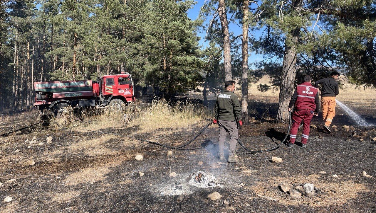 sarikamista cikan orman yangininda yaklasik 1 hektar alan zarar gordu VWiNYlDk