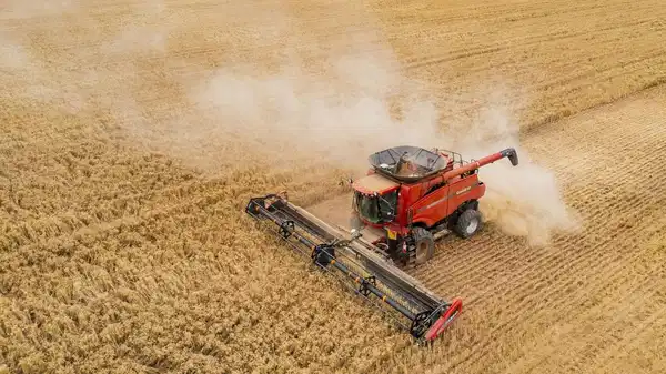 tuik eylul verilerini acikladi tarimda uretici fiyatlari yukseldi NesYXtcf.jpg