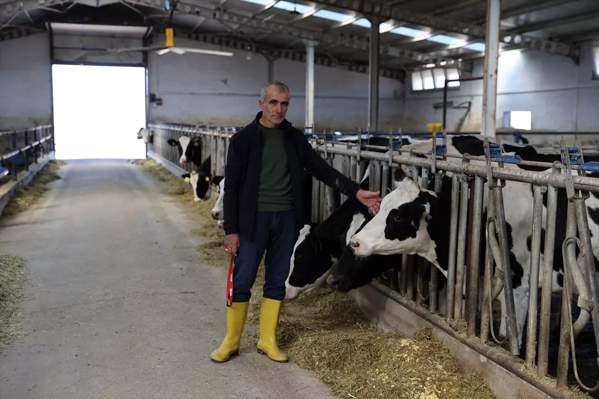 gemerekte sut uretim ciftligi ekonomiye katki sagliyor D8cg3ND4.jpg