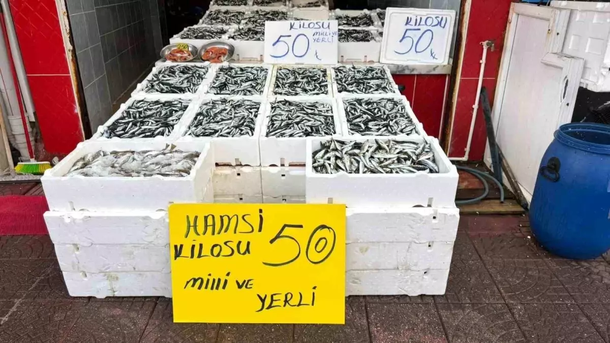 rizede hamsi fiyati 50 tl Ij6k3sqr.jpg