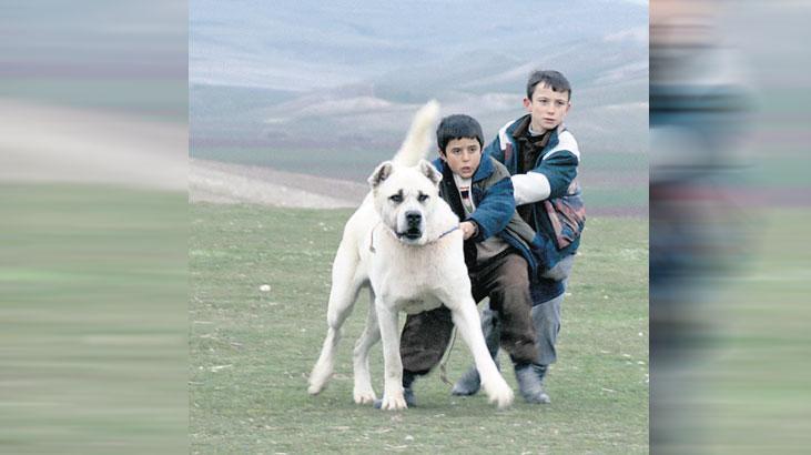 sivas ucretsiz erisime acildi WvKnSu9X.jpg