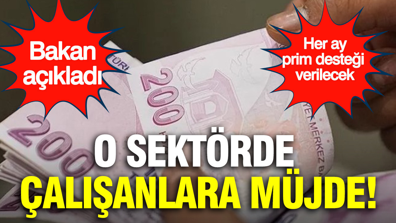 Bakan açıkladı: Turizm çalışanlarına müjde; her ay 3 bin 500 TL destek verilecek Bakan acikladi turizm calisanlarina mujde her ay 3 bin 500 tl destek verilecek dFVyaROl