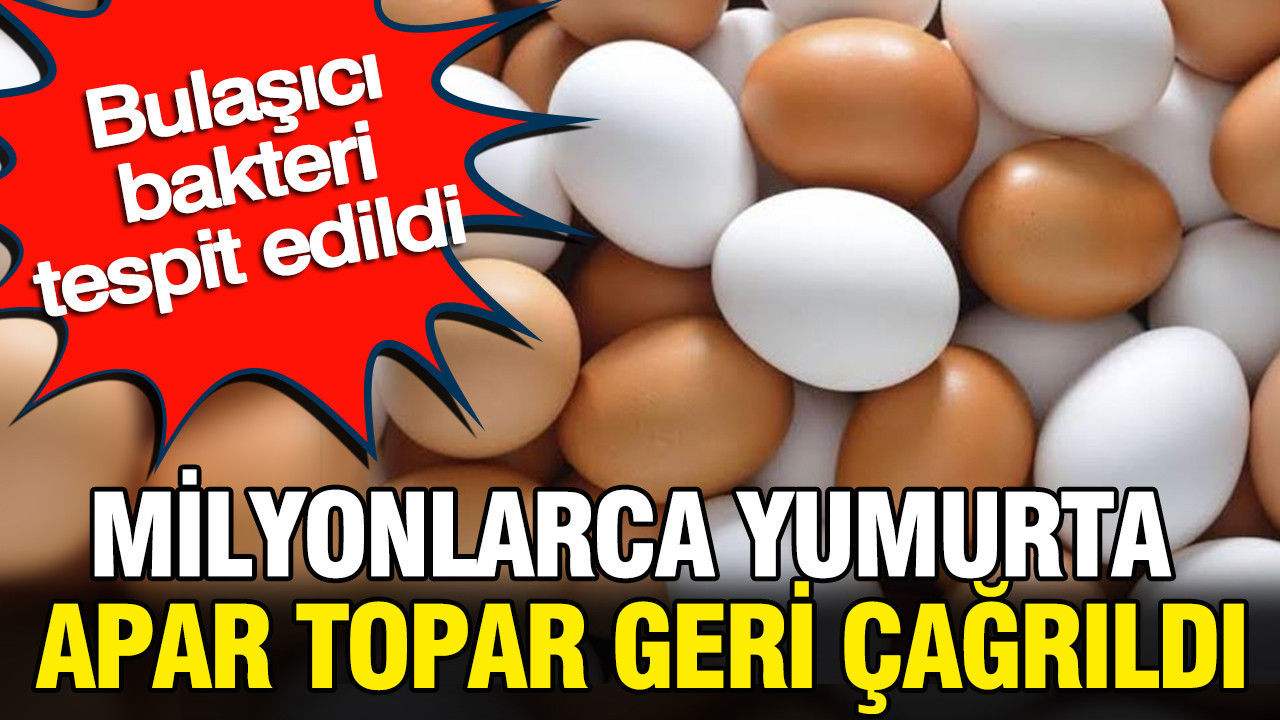 Milyonlarca yumurta apar topar geri çağrıldı: Bulaşıcı bakteri tespit edildi Haber gorseli