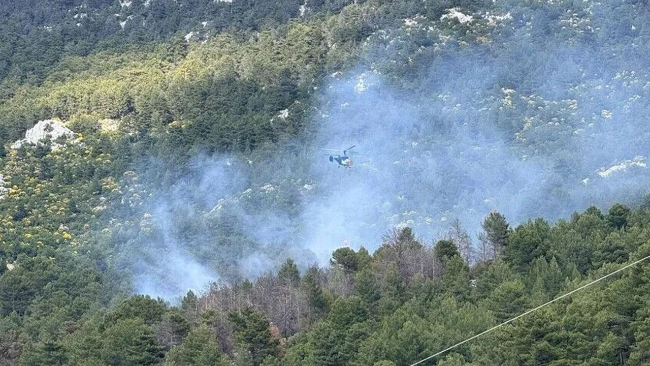 Kaş’ta orman yangını: Müdahale havadan ve karadan sürüyor Haber gorseli