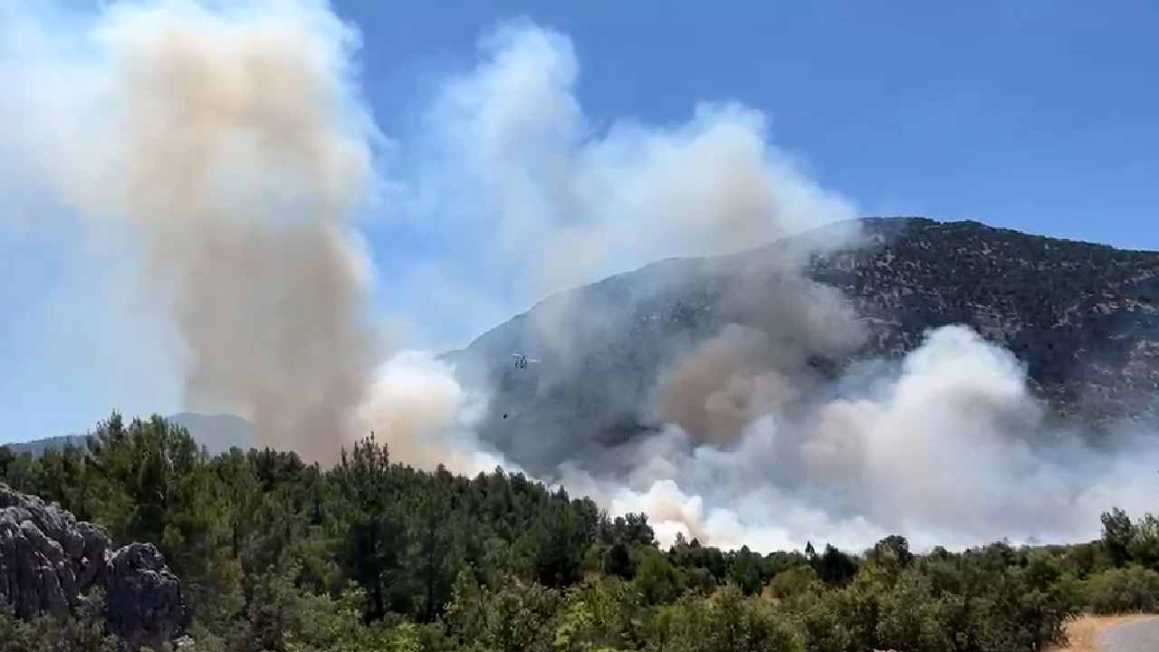 Son dakika | Antalya’da orman yangını: Müdahale başlatıldı Img
